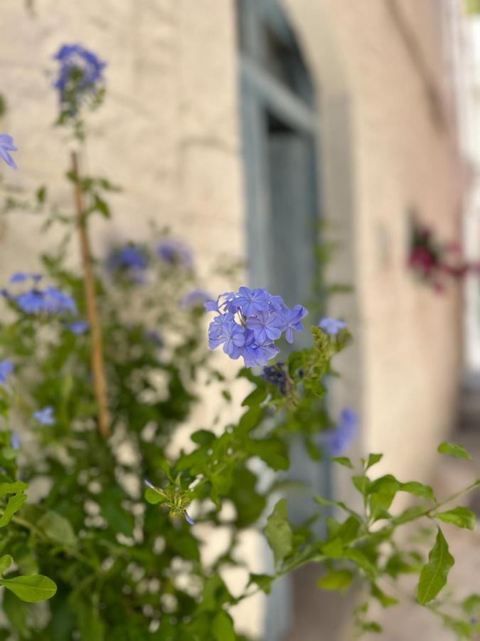 Vila Bianco Calce - Ostuni Exteriér fotografie